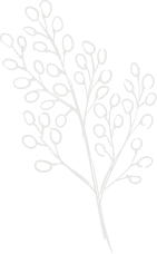 Illustration florale décorative en arrière-plan